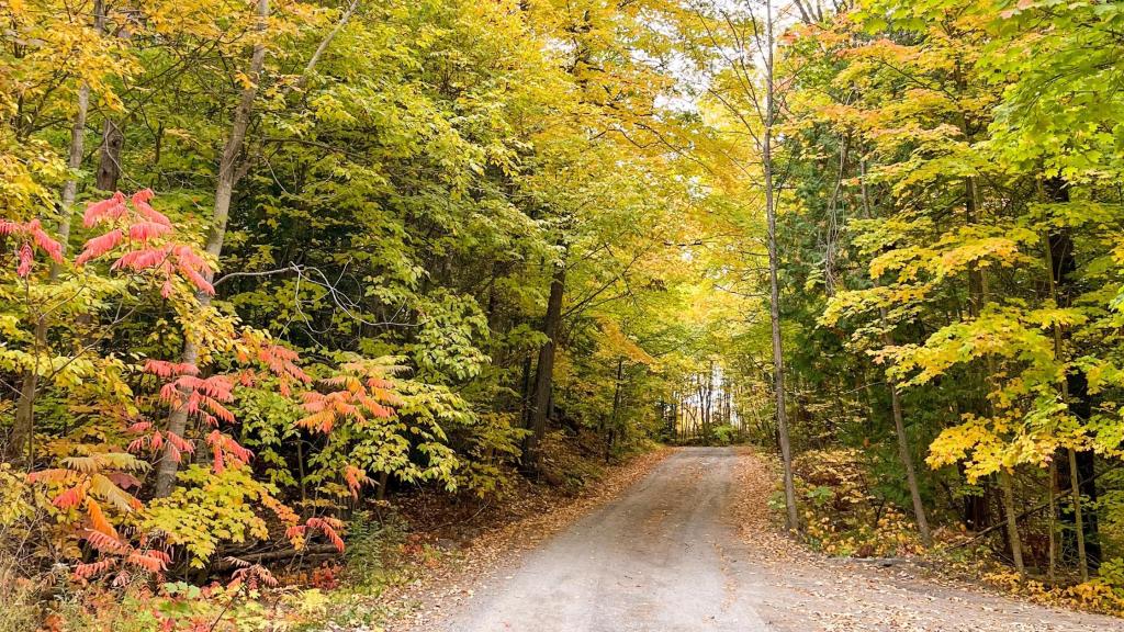 A Fall Weekend Getaway to View the Fall Colours in Ontario